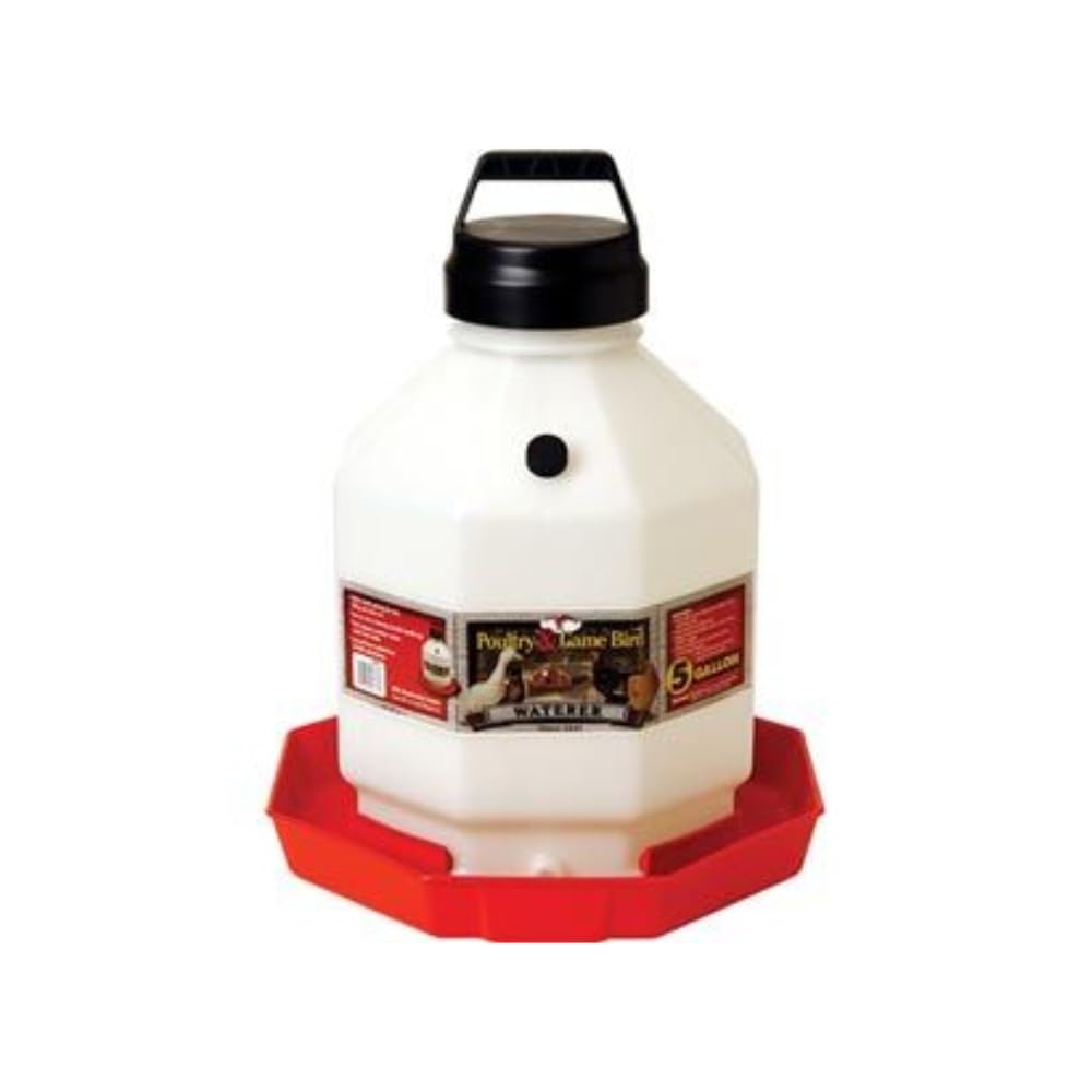 Plastic Chicken Waterer 5 Gallon E2200