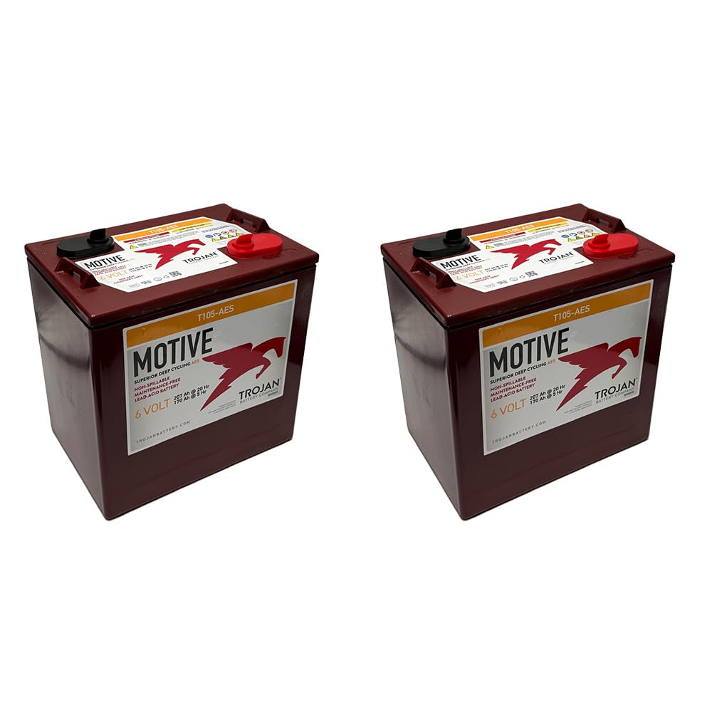 6V Deep Cycling VRLA AGM Batteries, Maroon, Pack of 4 Z685