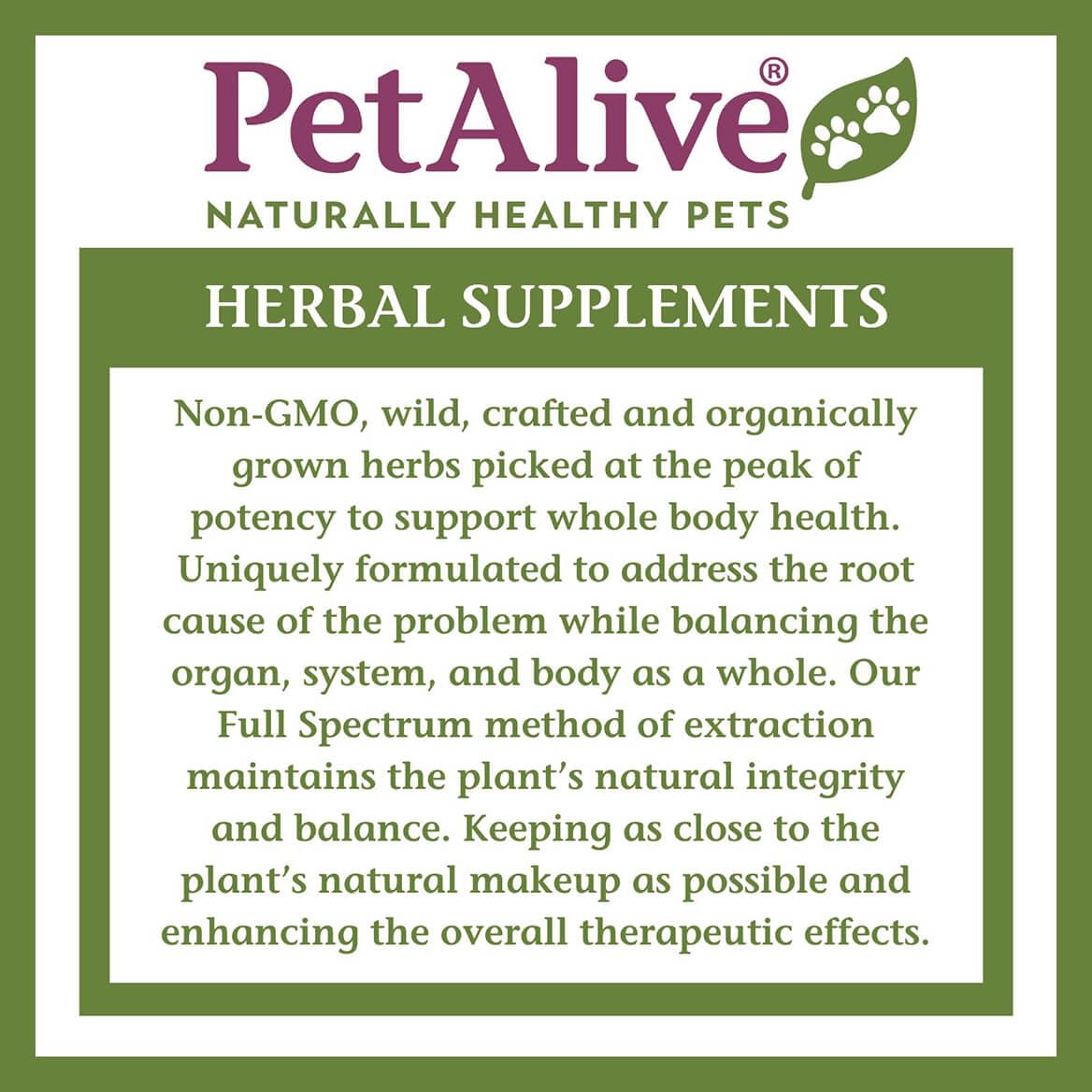 2 Fl Oz Herbal Nervous System Support for Pets U483619