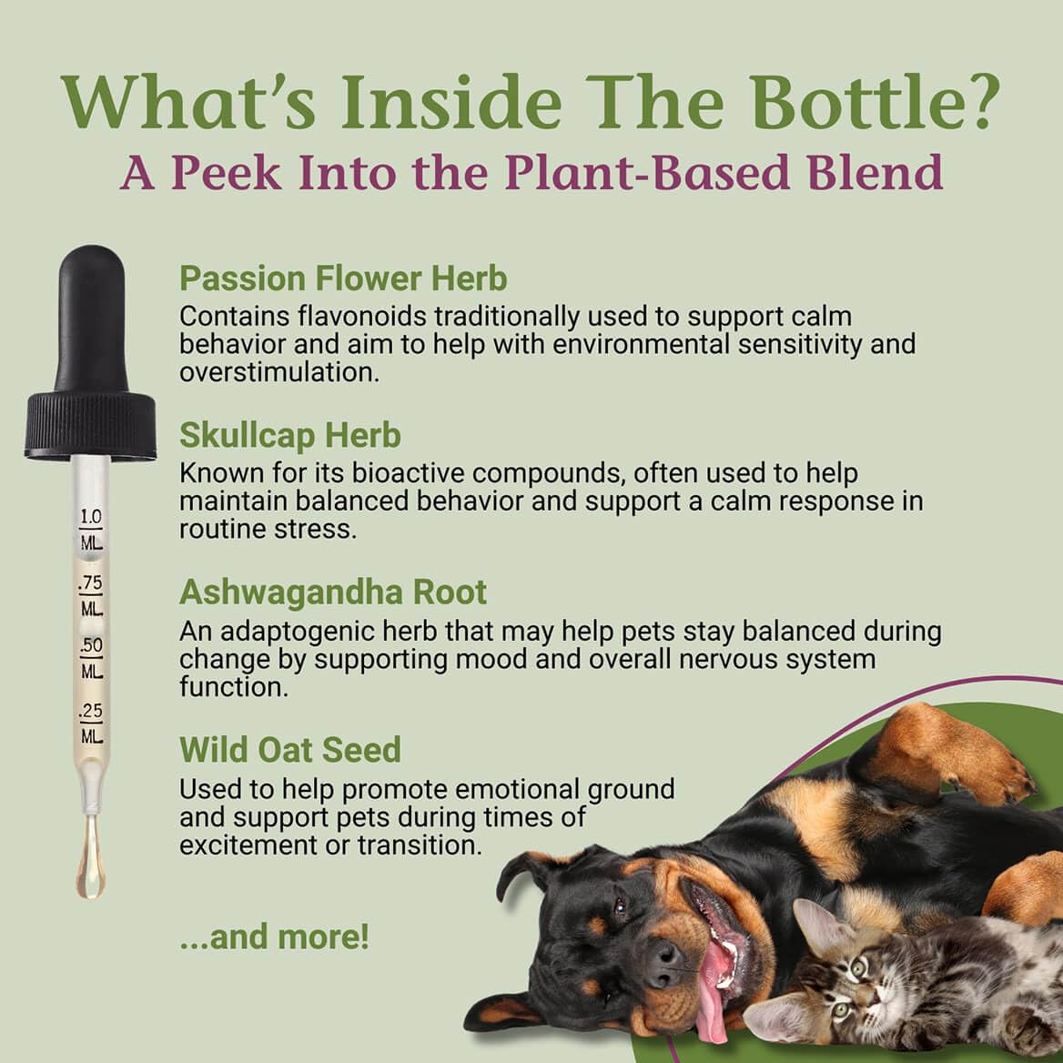 2 Fl Oz Herbal Nervous System Support for Pets U483619
