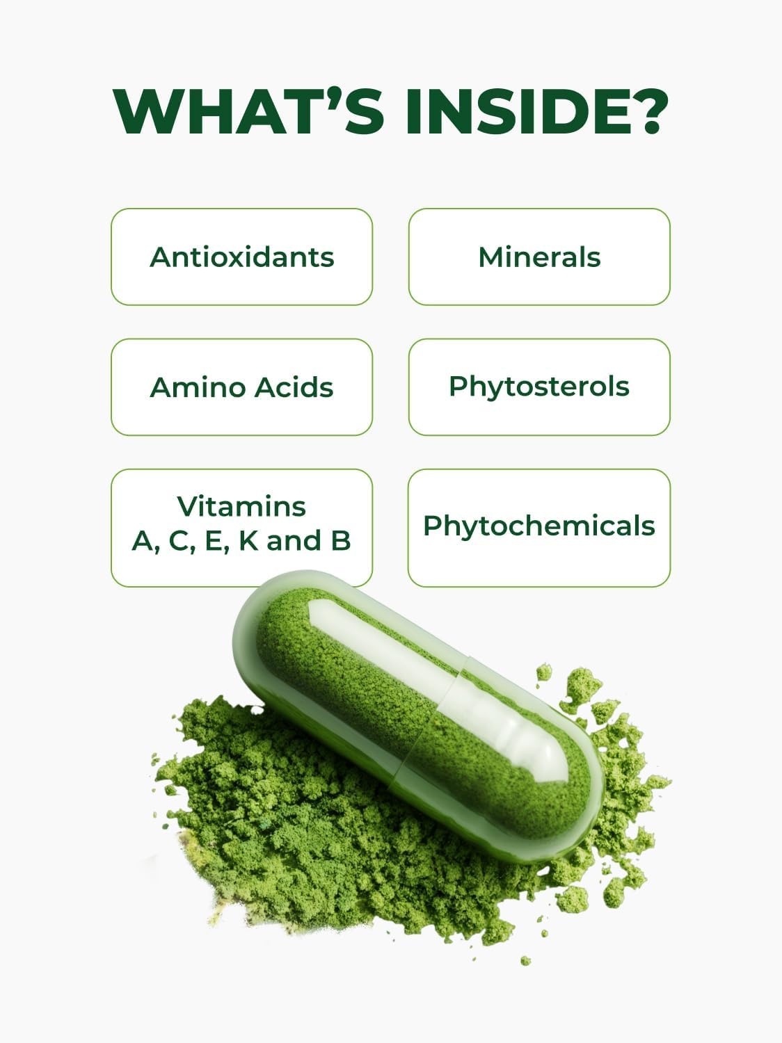 Organic Moringa Capsules 500mg 120ct Pack of 2 I91522