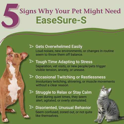 2 Fl Oz Herbal Nervous System Support for Pets U483619