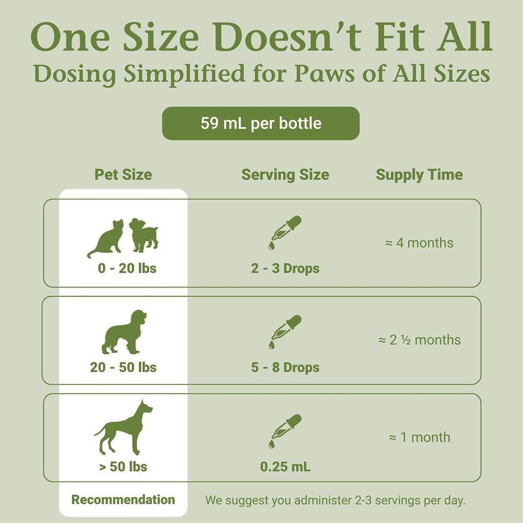 2 Fl Oz Herbal Nervous System Support for Pets U483619