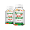 Hemp Gummies 2 Pack 120 Gummies N40343