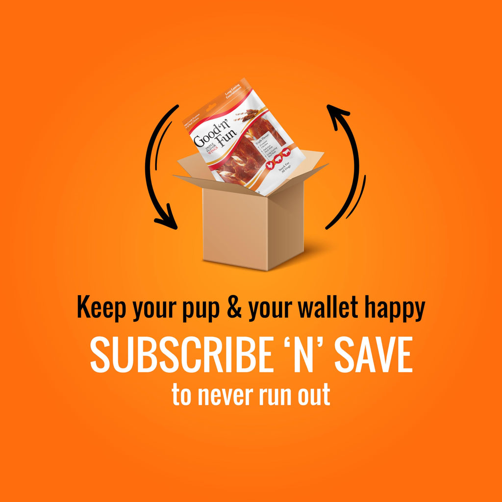 Long-Lasting Dog Treat for Large Dogs, 6 Count K8096