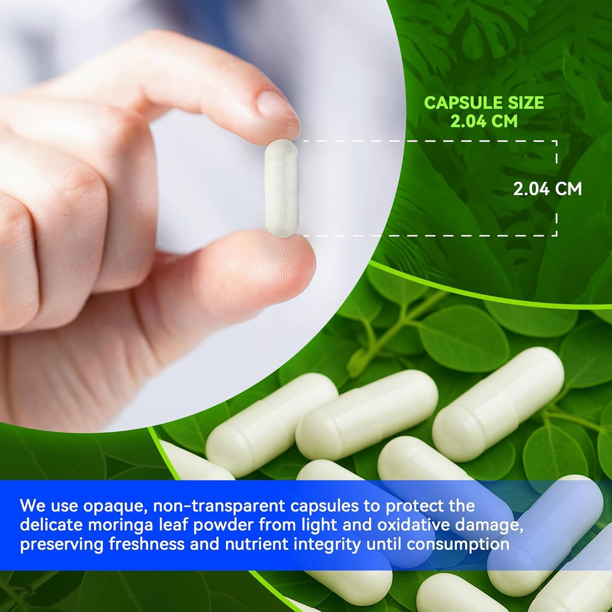 Moringa Capsules 1000mg 10:1 Leaf Extract 60 Veg Capsules V73828