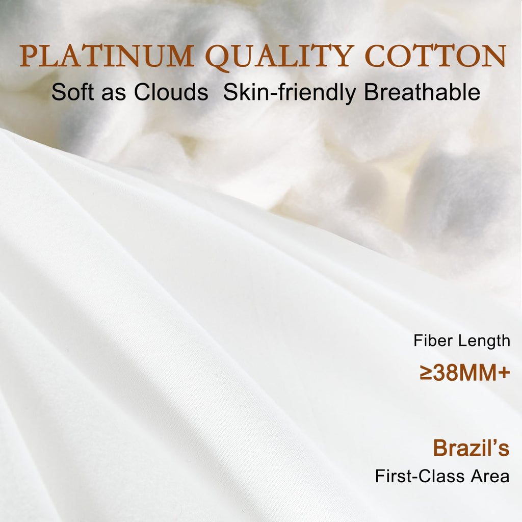 Soft Natural Wool Pillow King Size Set of 2 Cotton Cover W5934