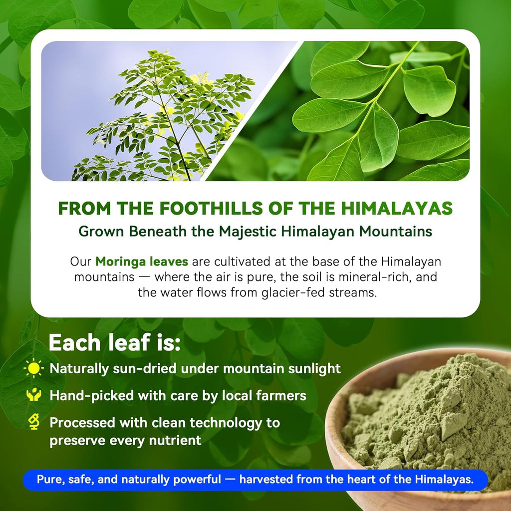 Moringa Capsules 1000mg 10:1 Leaf Extract 60 Veg Capsules V73828