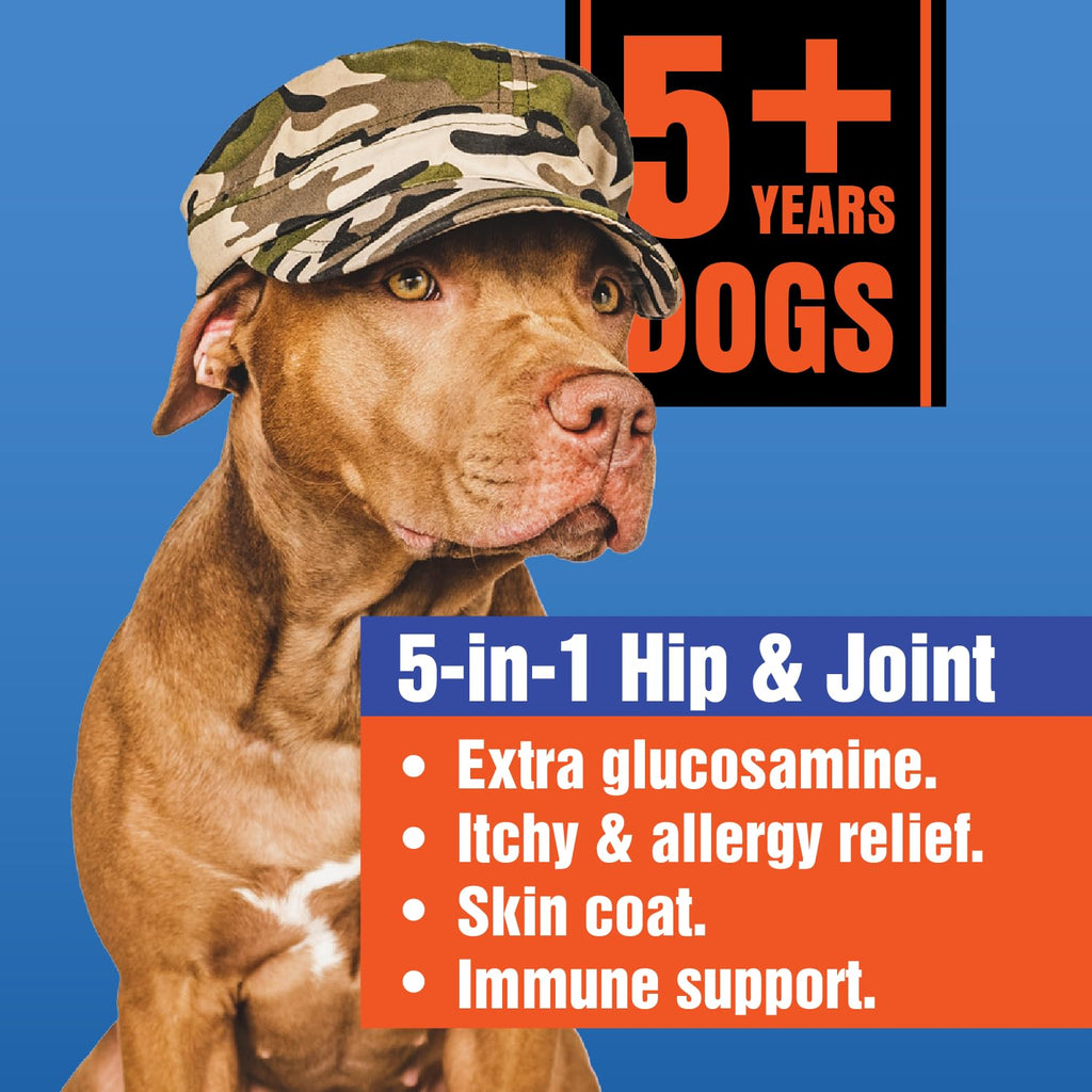 Glucosamine Hip & Joint Supplement 60 Chewable Tablet Y7569