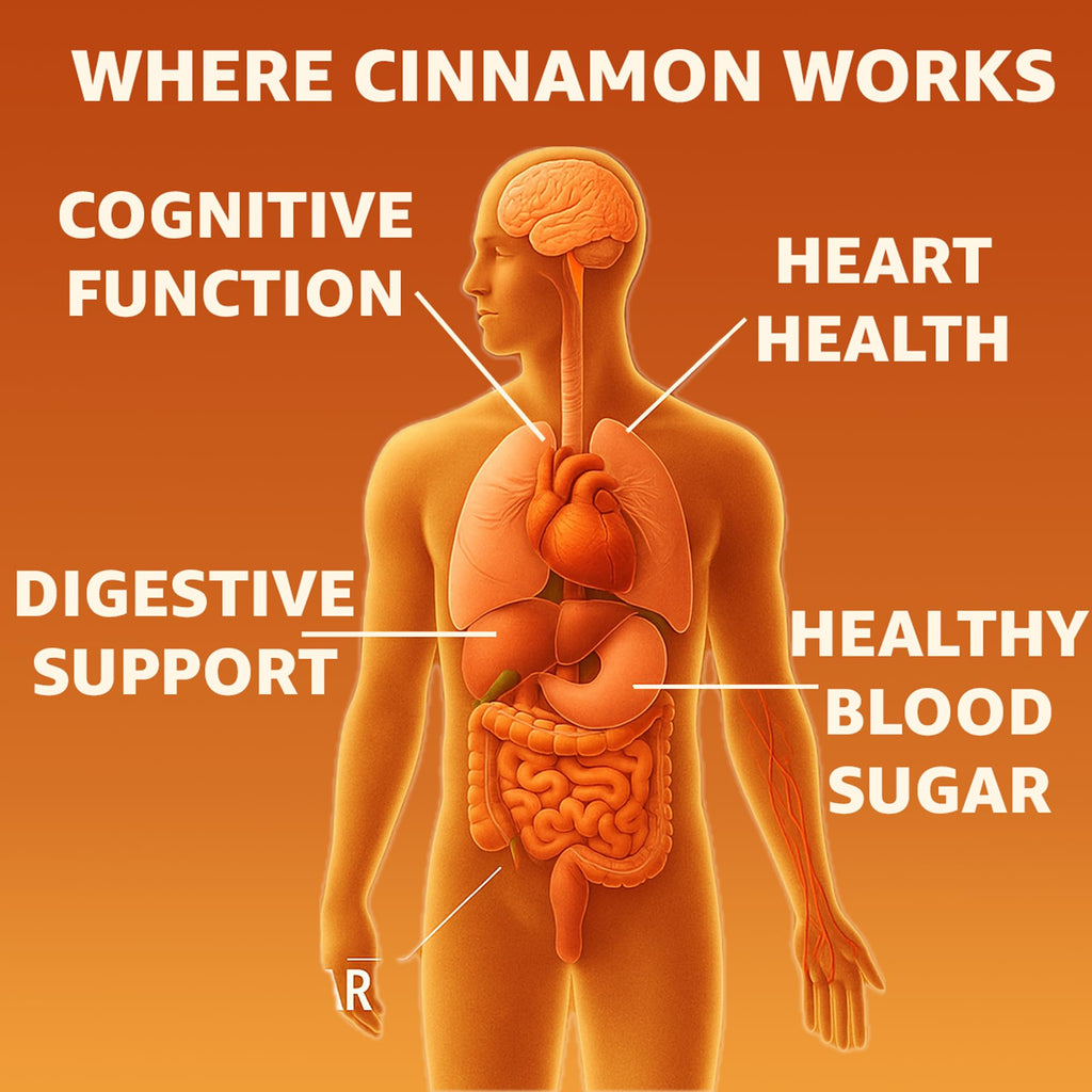 Cinnamon Supplement 1000mg 400 Vegetarian Capsules V30185