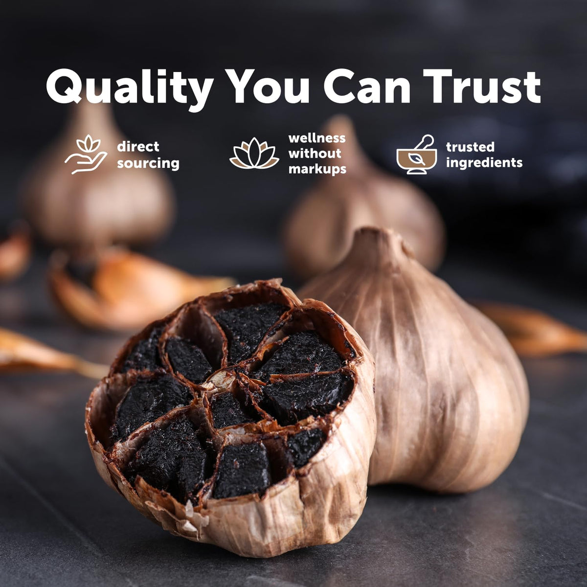 Odorless Aged Garlic & Black Garlic G59687