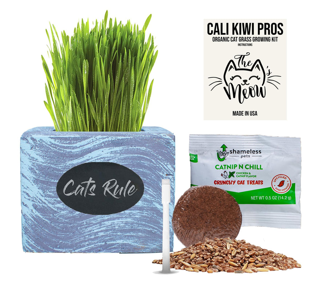 Organic Wheatgrass Seed & Soil Cat Grass Kit R1972
