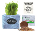 Organic Wheatgrass Seed & Soil Cat Grass Kit R1972