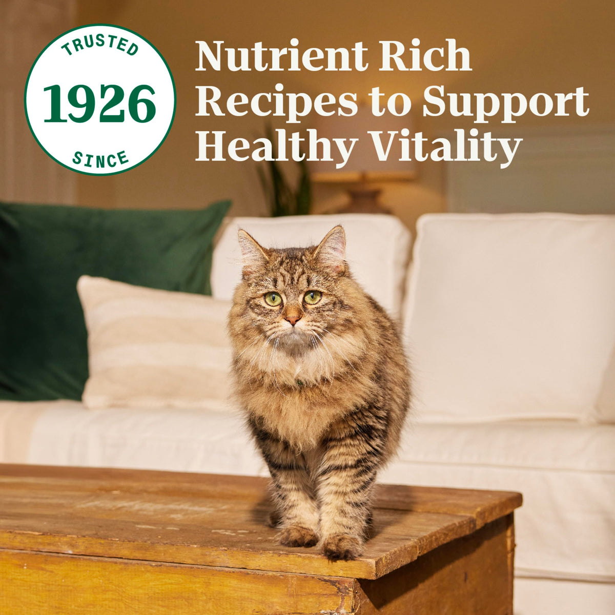 Adult Dry Cat Food Chicken & Brown Rice 5 lb K46556