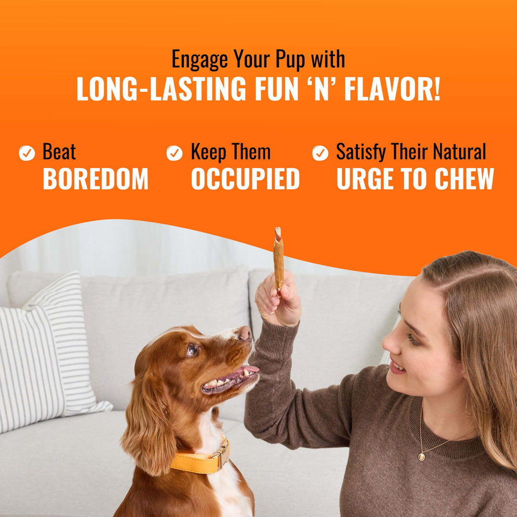 Long-Lasting Dog Treat for Large Dogs, 6 Count K8096
