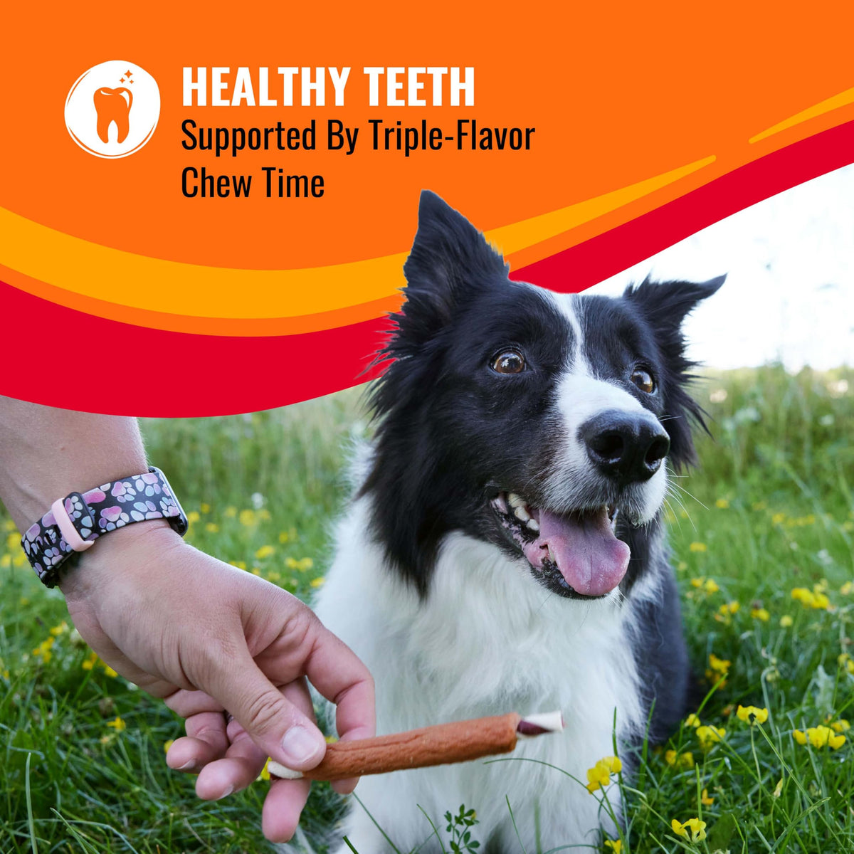 Long-Lasting Dog Treat for Large Dogs, 6 Count K8096