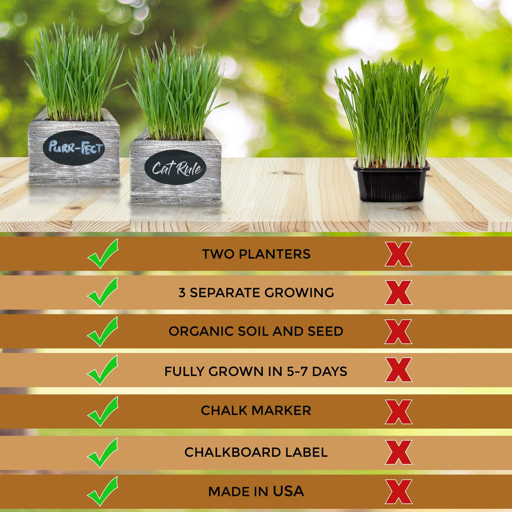 Organic Wheatgrass Seed & Soil Cat Grass Kit R1972