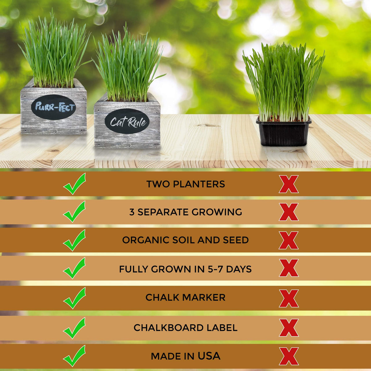 Organic Wheatgrass Seed & Soil Cat Grass Kit R1972