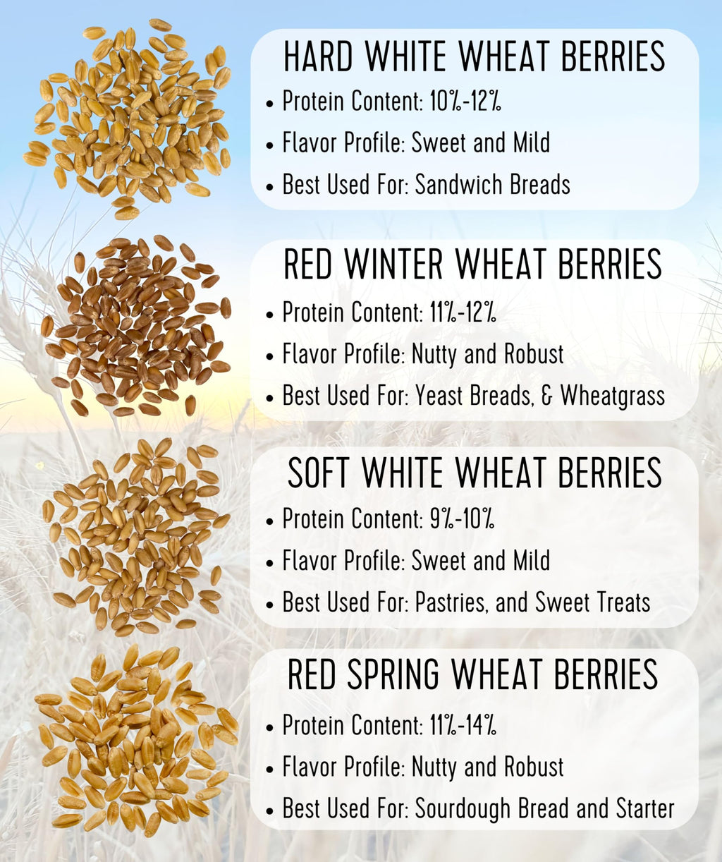 Hard Red Winter Wheat Berries 25 LBS Bag Sproutable Non-GMO Kosher C286589