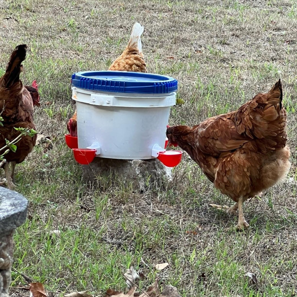 12 Pack Poultry Waterer Cups with Drill S219884