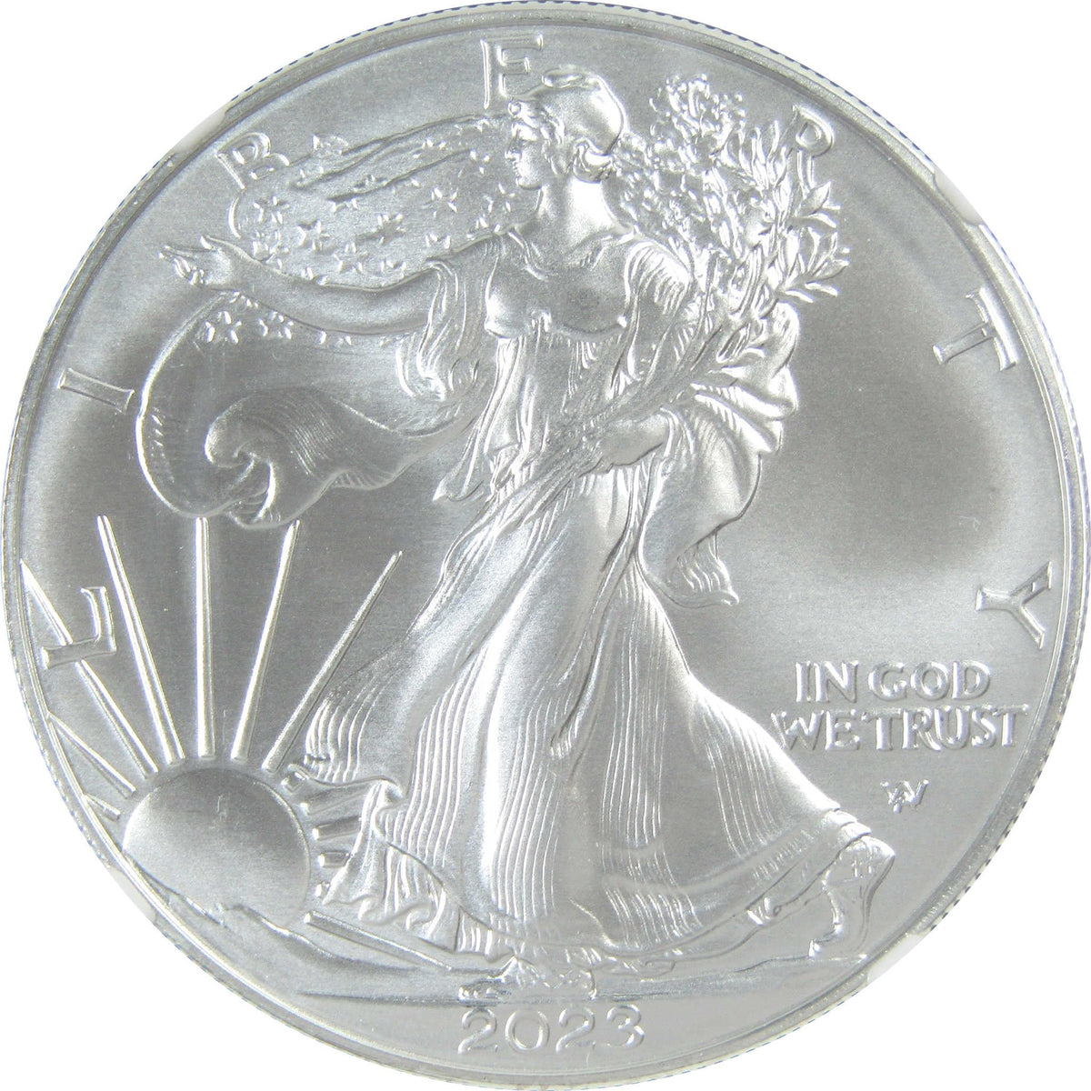 2023 American Silver Eagle Uncirculated $1 Coin R1845