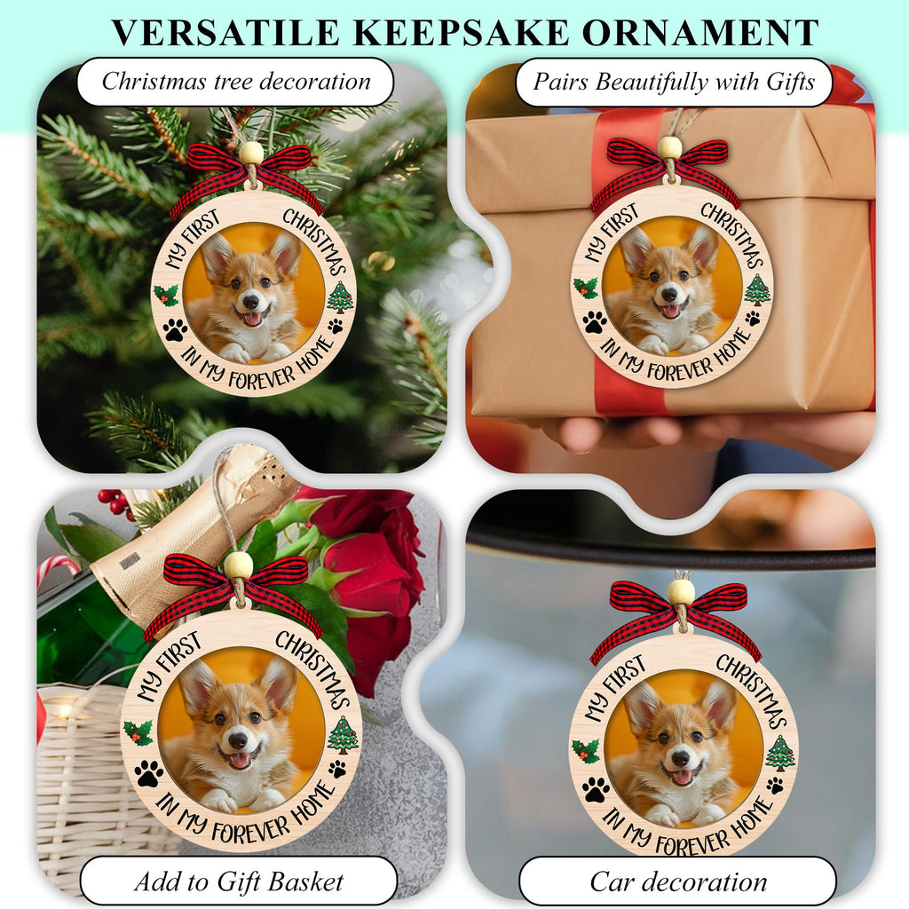 Dog Ornaments C84987
