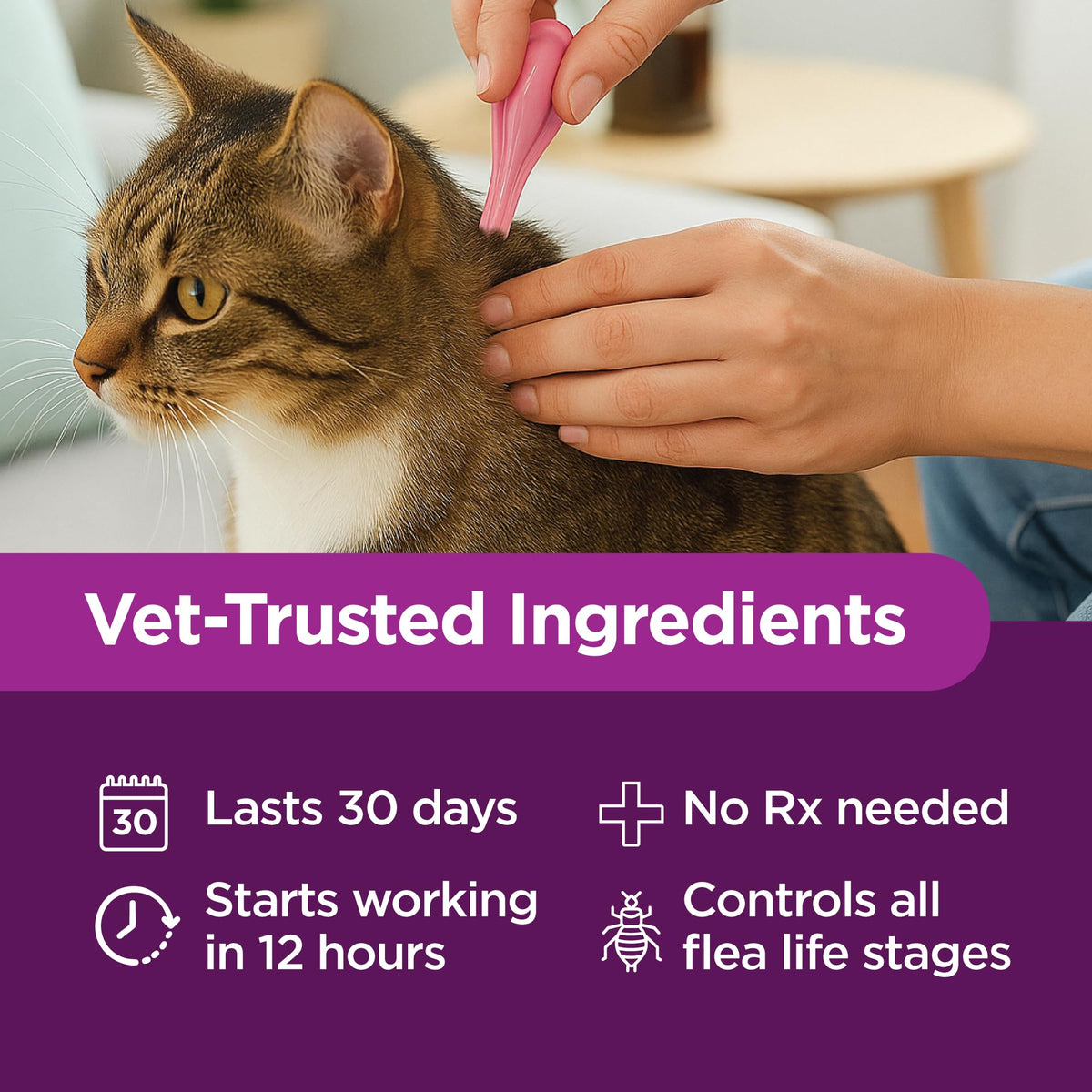 Flea Treatment for Small & Medium Cats 5-9 lbs, 6 Doses M790345