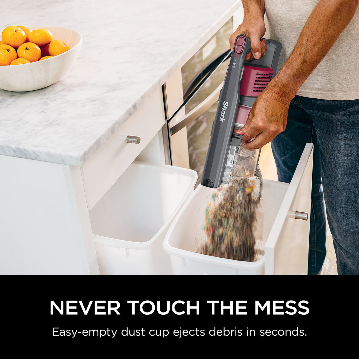Cordless Stick Vacuum F412