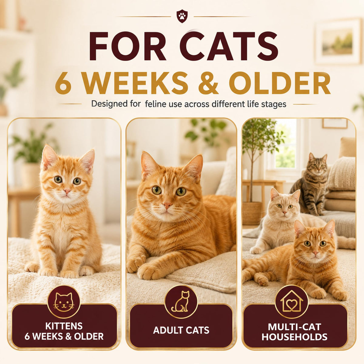 Cat Dewormer Tablets for Tapeworms, Roundworms & Hookworms E9060