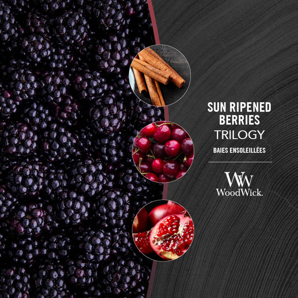 Scented Trilogy Candle with Crackling Wick C8912